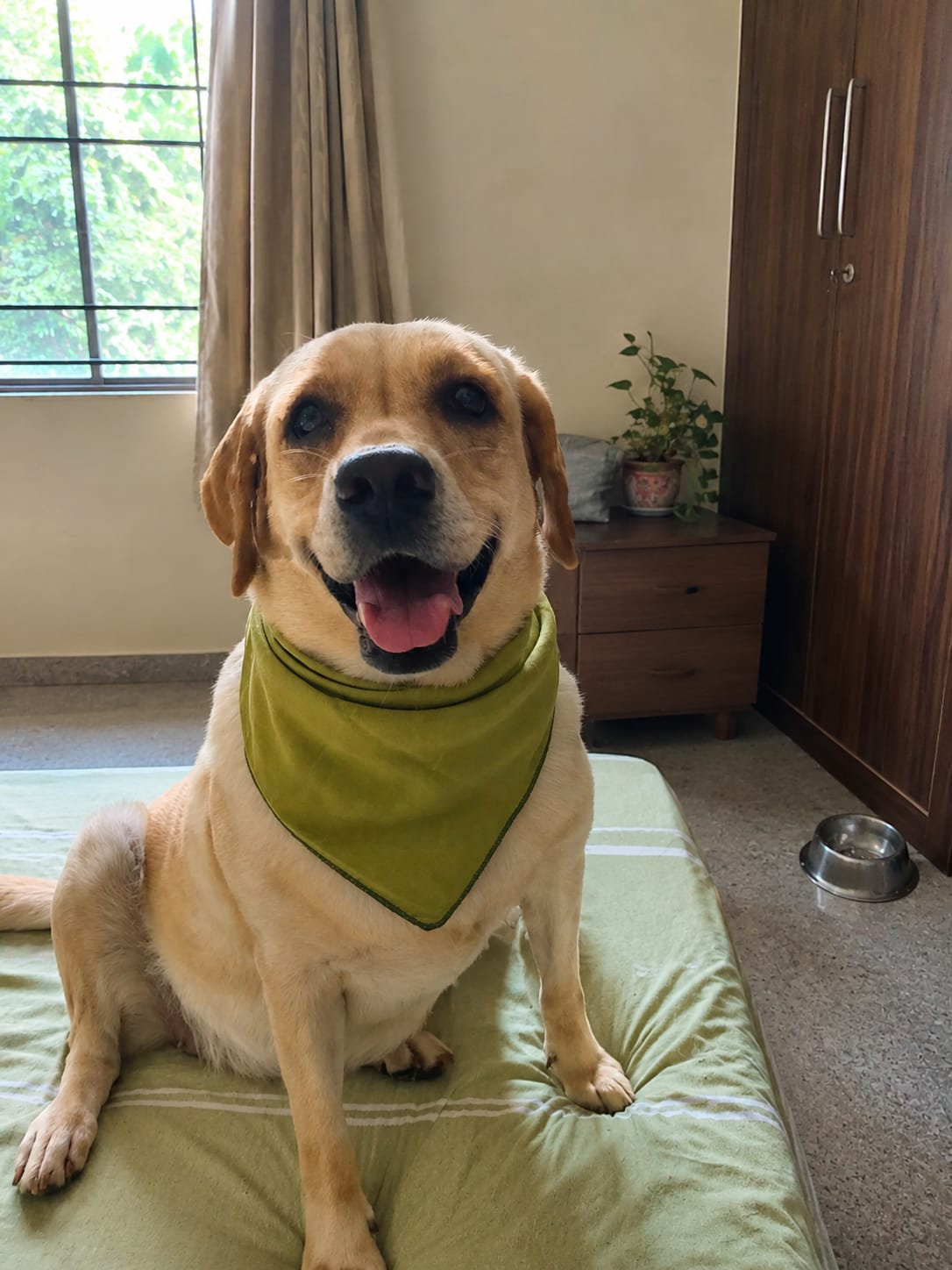 Rooh — Our Chief Happiness Officer