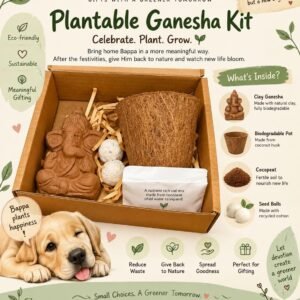 Plantable Ganesha Kit