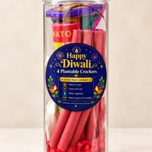 Grow Your Crackers – Plantable Diwali Cracker Jar | Set of 4